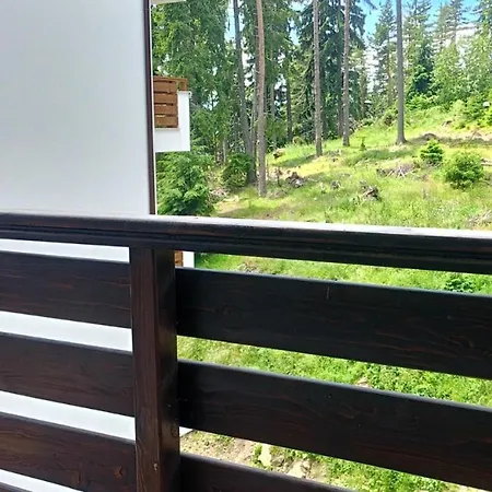 Appartement B35, Complex Sokolitsite