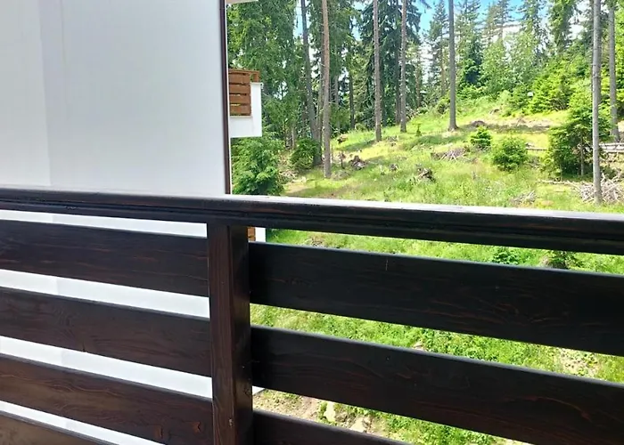 Apartment B35, Complex Sokolitsite